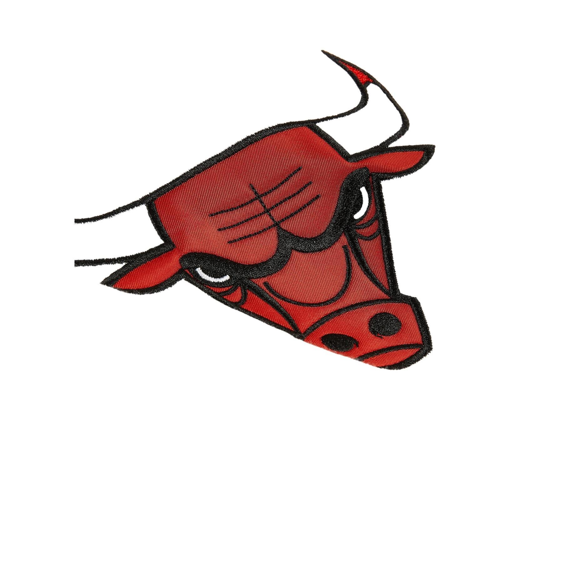 Felpa con cappuccio Fusion fleece 2.0 Chicago Bulls