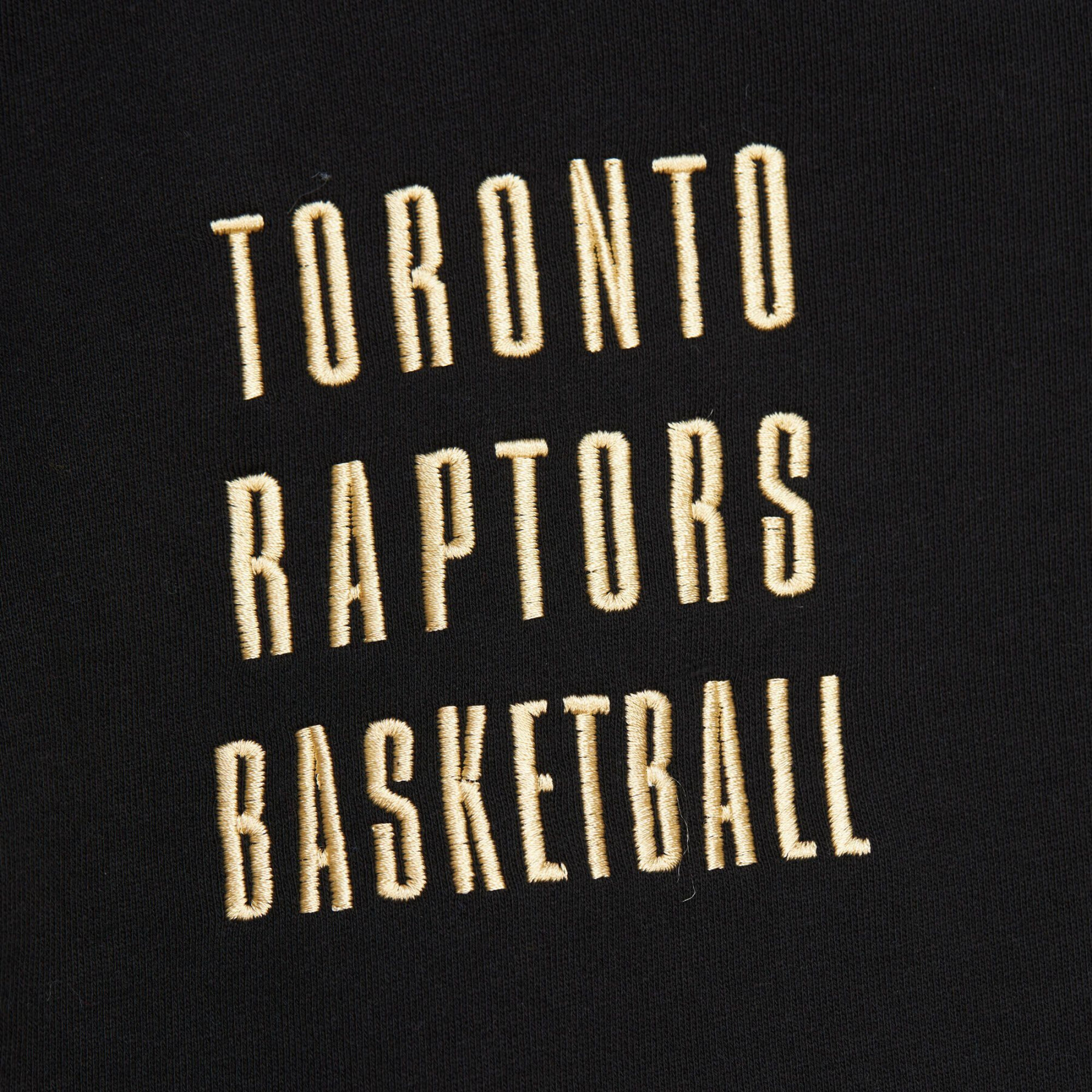 Felpa con cappuccio vintage Toronto Raptors 2.0