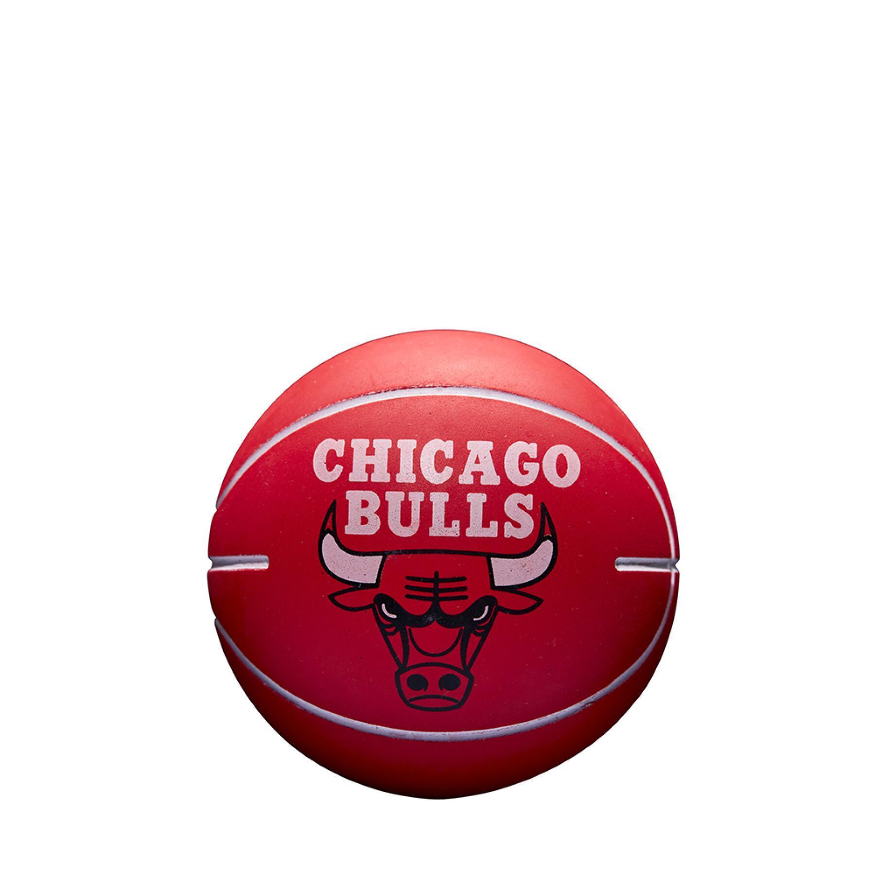 Palla che rimbalza nba dribbling Chicago Bulls