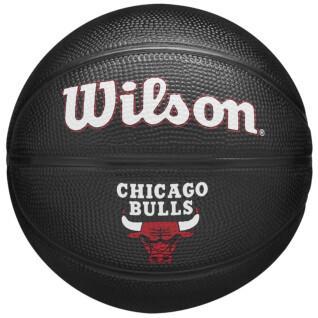 Mini palloncini nba Chicago Bulls