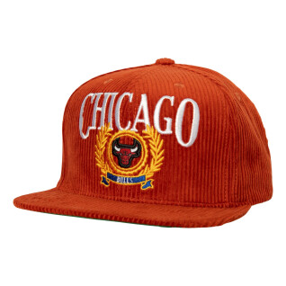 Cappellino con visiera Chicago Bulls Levelz