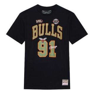 Maglietta Chicago Bulls NBA Script N&n Bulls Dennis Rodman