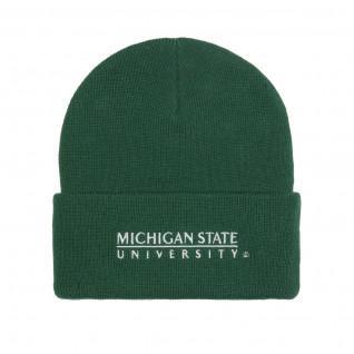 Bonnet logo dell'università del Michigan