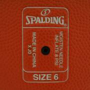 Palloncino Spalding LNB Tf350 (76-384z)