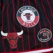 Shorts Chicago Bulls Hometown Mesh