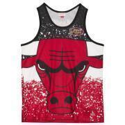 D bardeur Mitchell & Ness  Jumbotron Mesh Chicago Bulls