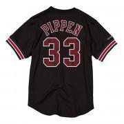 Felpa Chicago Bulls name & number Scottie Pippen