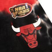 Breve Chicago Bulls NBA Finals 1996