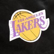 Breve Los Angeles Lakers nba