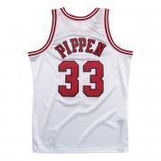 Jersey Chicago Bulls 1997-98 Scottie Pippen Platinum