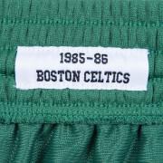 Breve Boston Celtics nba