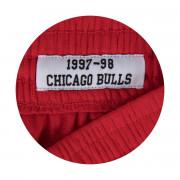 Breve Chicago Bulls nba
