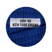 Breve New York Knicks nba