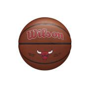 Pallone Chicago Bulls NBA Team Alliance